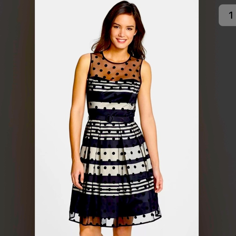 Eliza J Velvet Satin Stripe Polka Dot Dress